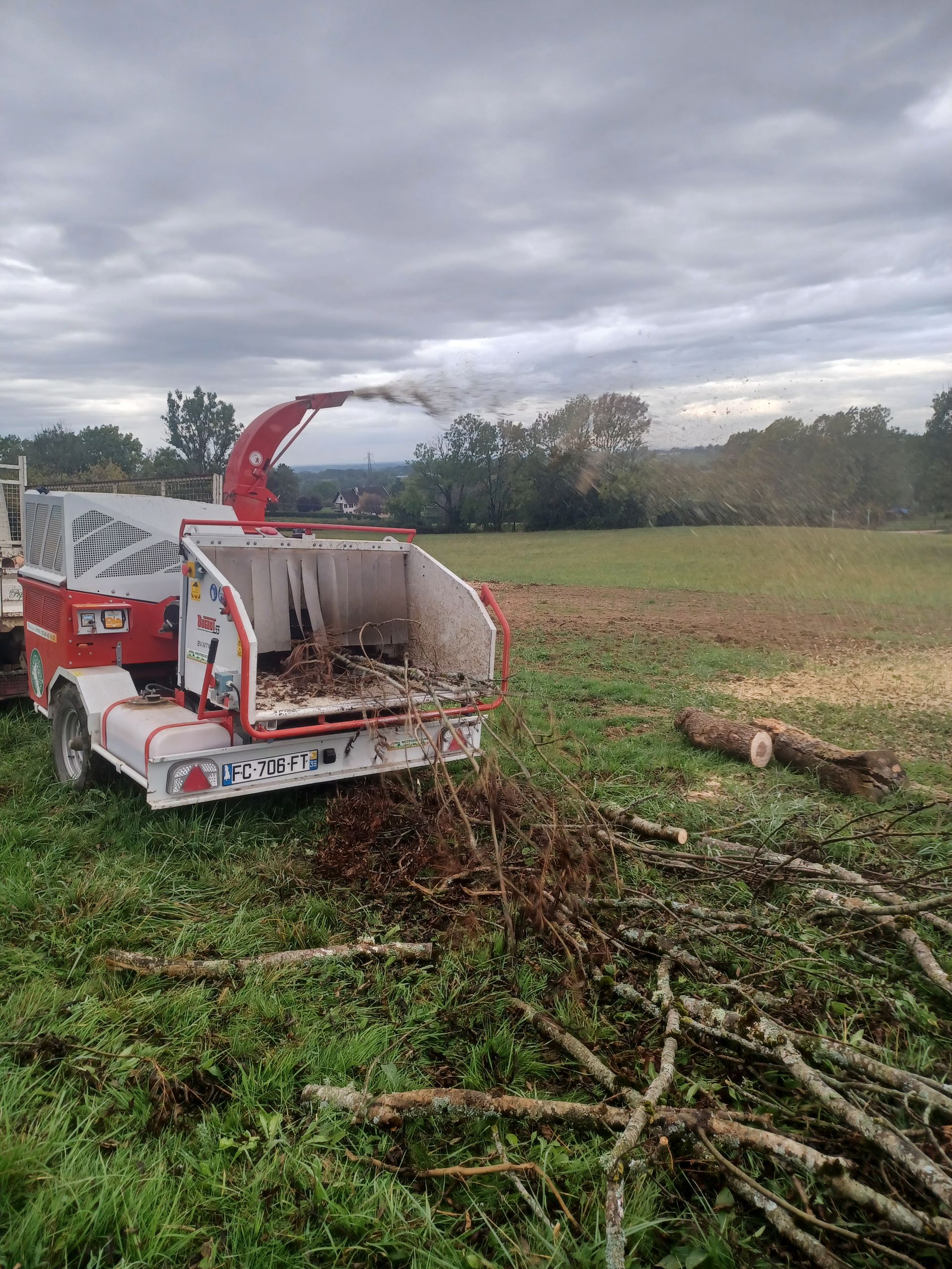 Un camion vu de derrière avec une remorque qui contient des branches