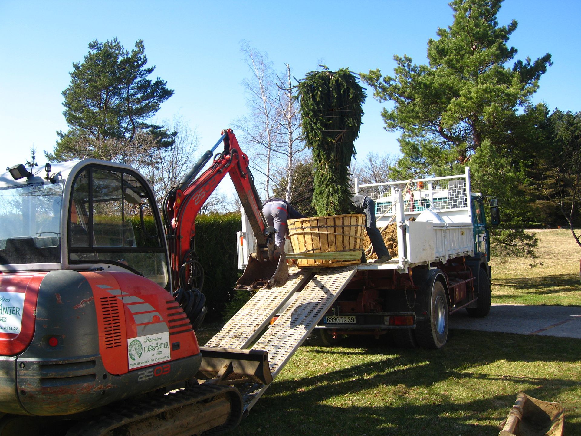 Un engin agricole devant une remorque de camion qui contient un arbre en pot