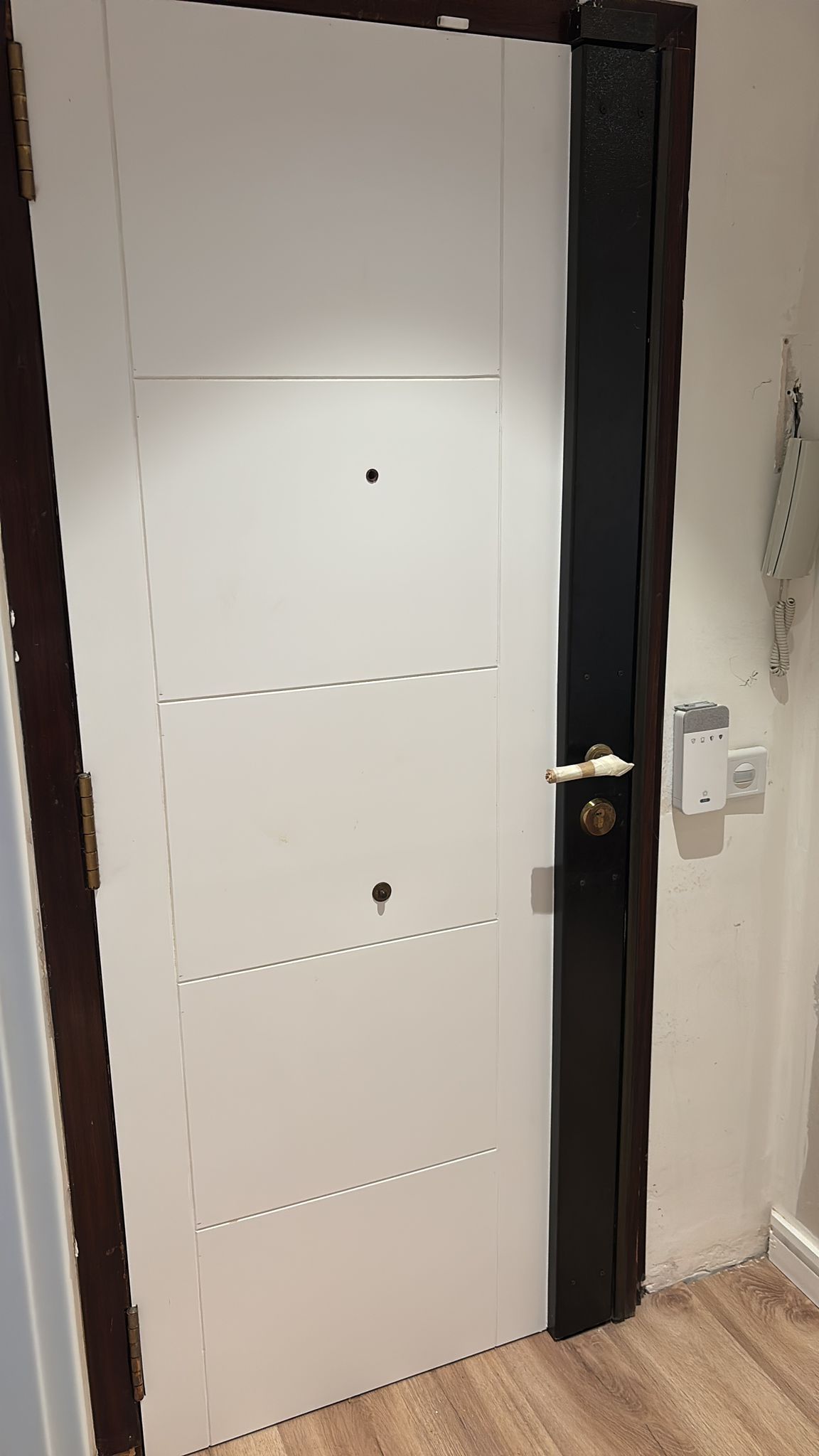 Puerta blanca con borde oscuro, tirador dorado y dos elementos decorativos negros sobre una pared blanca.