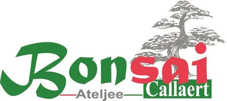 BONSAI-ATELJEE-callaert-logo