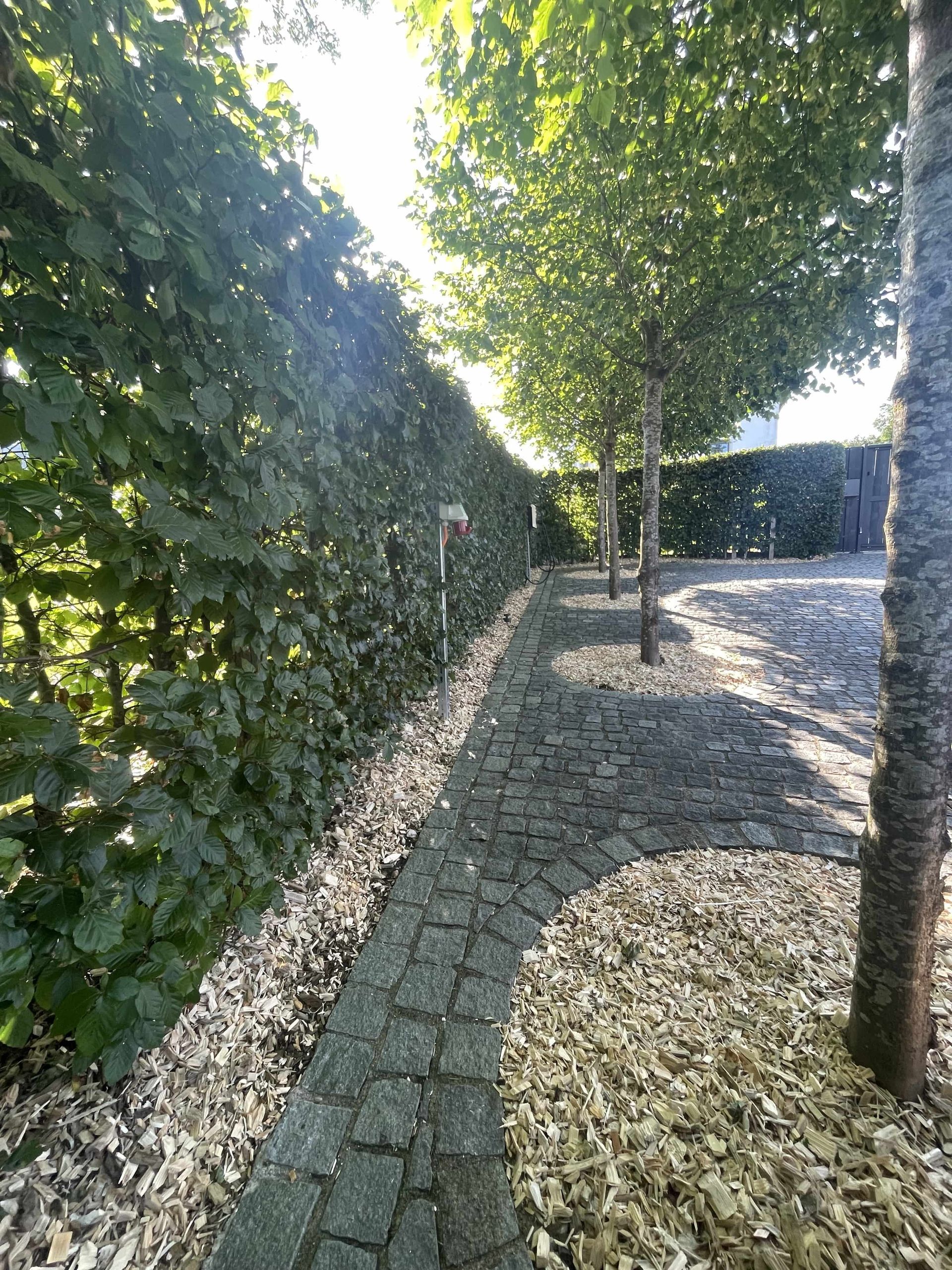 Cours en dalles entourée d'arbres et d'arbustes dans un jardin.