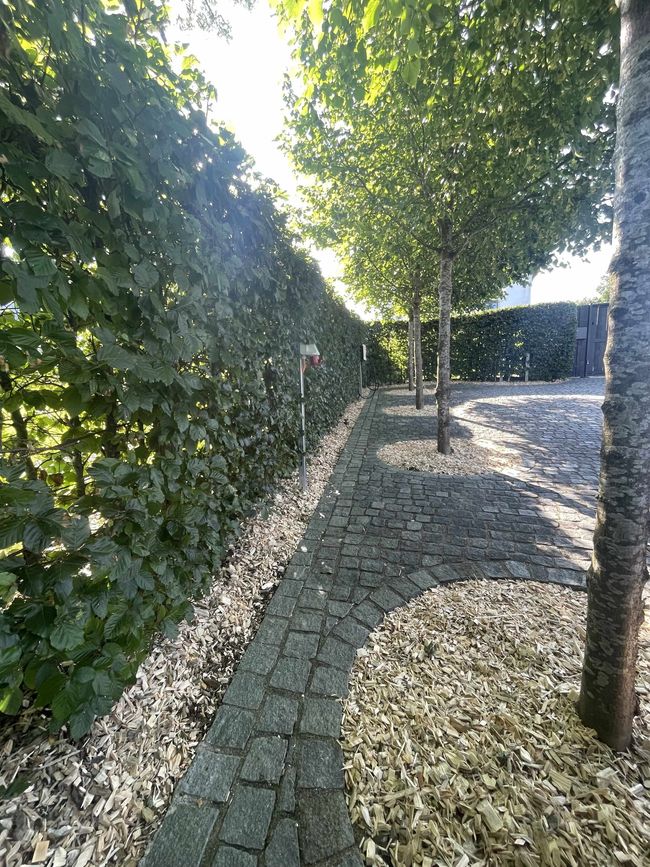 Cours en dalles entourée d'arbres et d'arbustes dans un jardin.