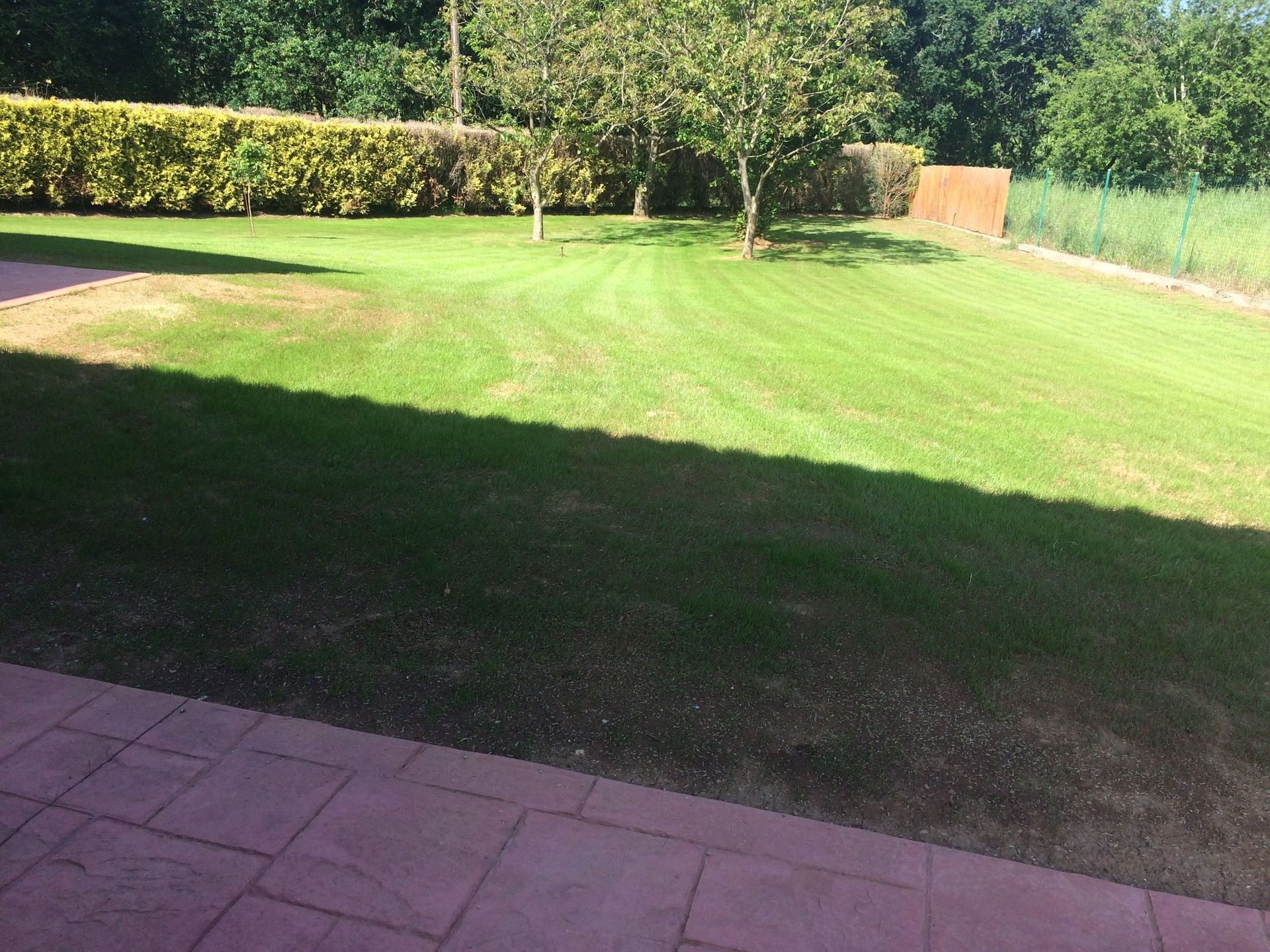 Un exuberante césped verde con árboles al fondo.