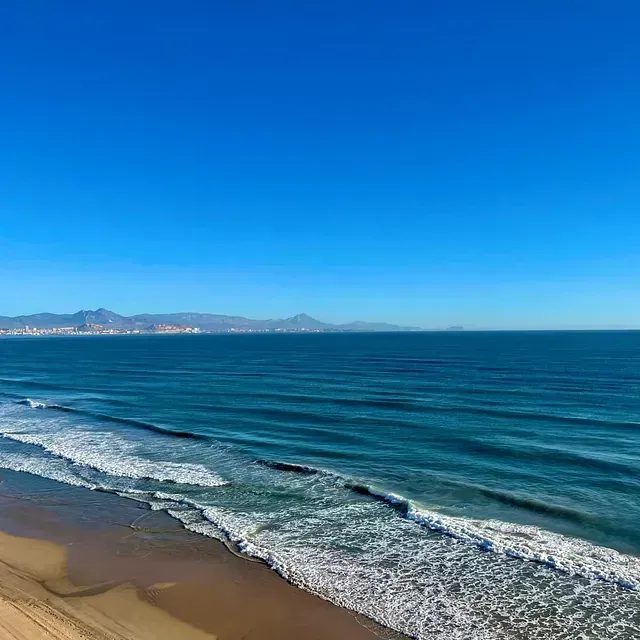 Una vista aérea de una playa y el océano en un día soleado.