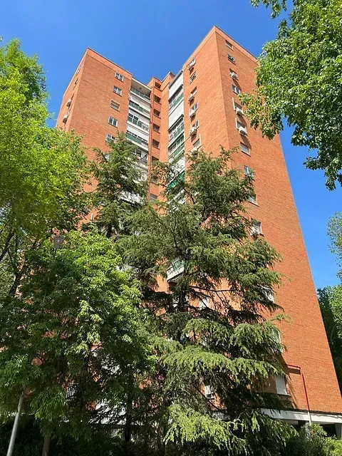 Un edificio alto de ladrillo con árboles delante.