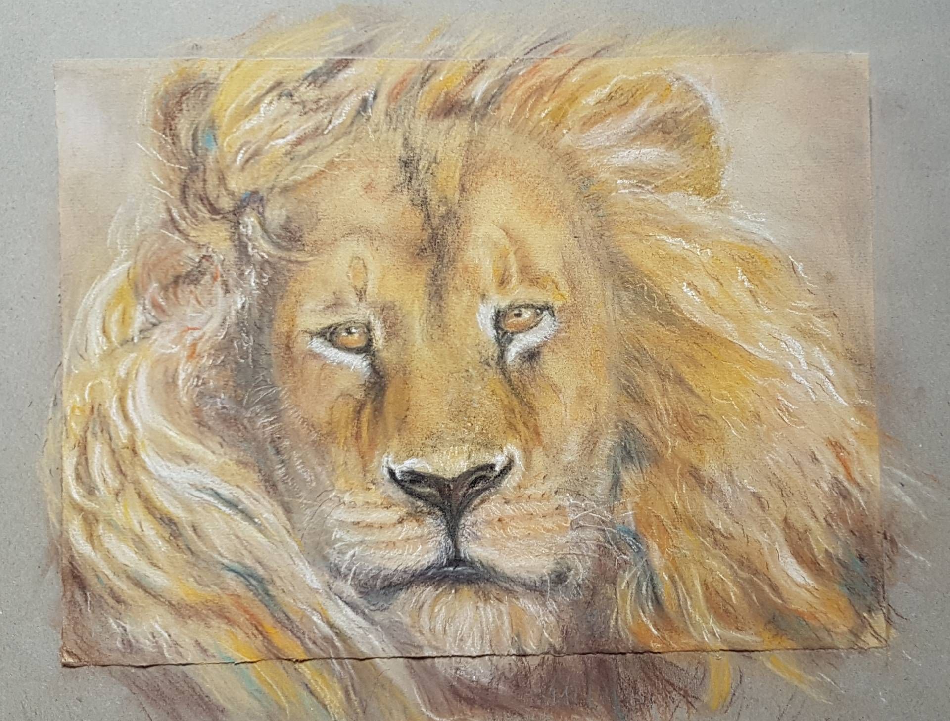 Löwenportrait mit detailreicher Mähne