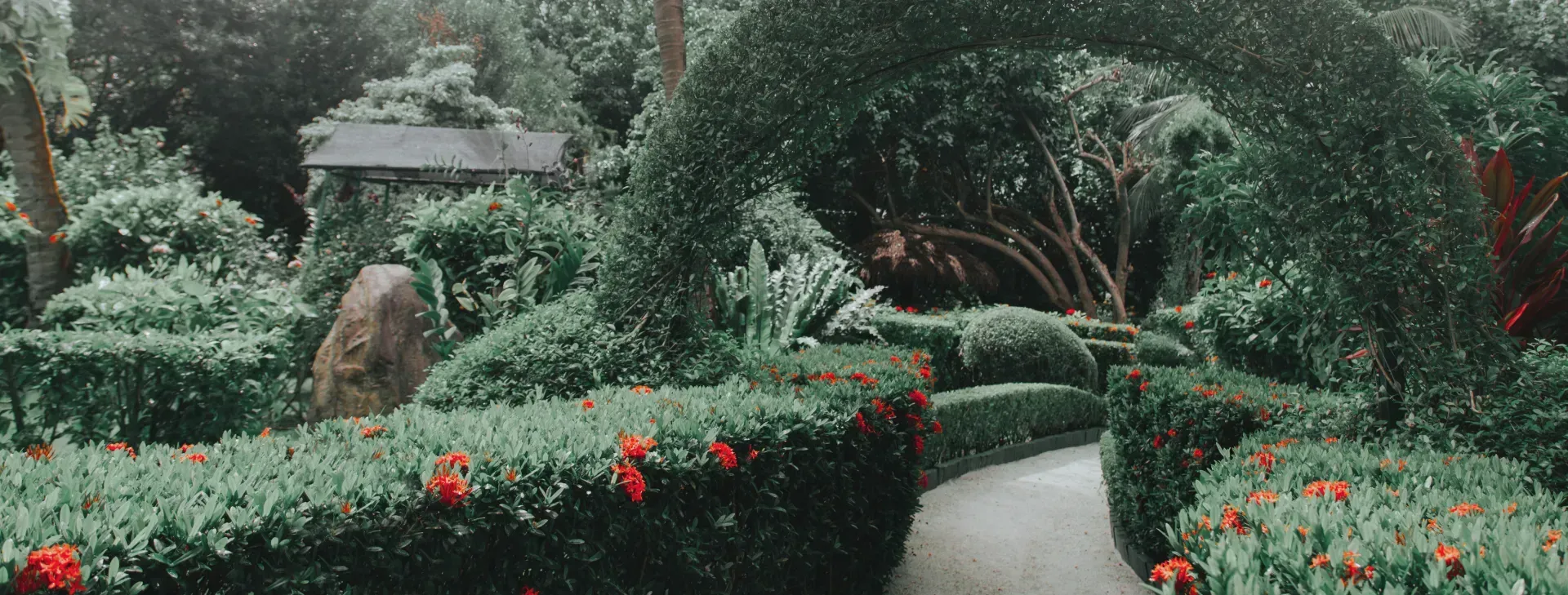Un camino rodeado de arbustos y flores en un jardín.