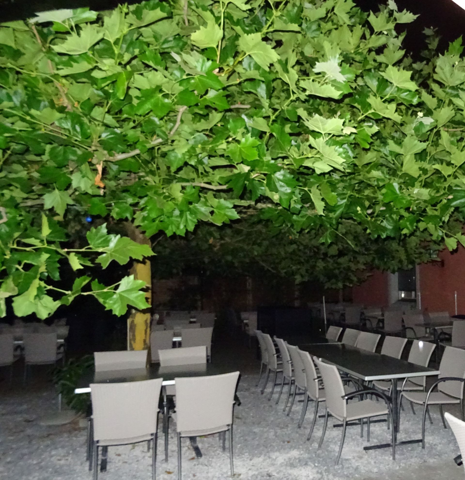 Im Grünen - Restaurant Kaserne