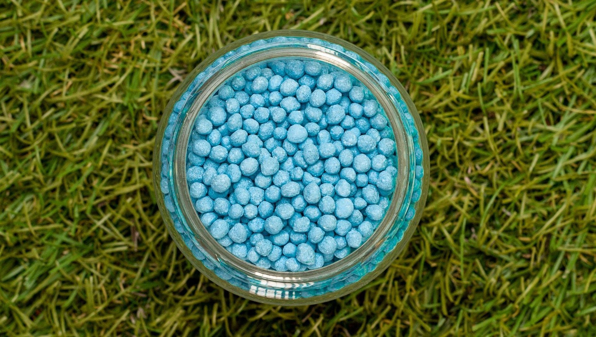 Un frasco de chispitas de colores azules se encuentra encima de un exuberante campo verde.