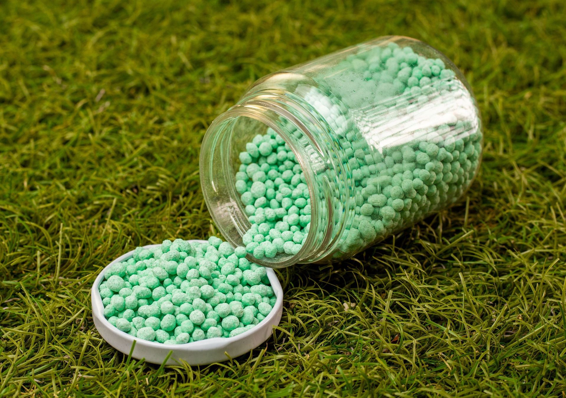 Un frasco lleno de bolas verdes se encuentra encima de un exuberante campo verde.