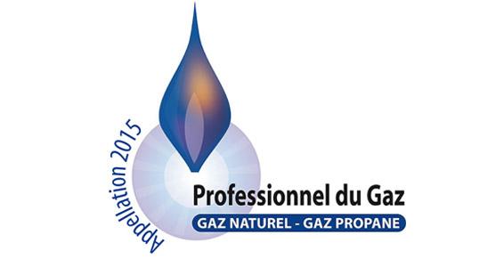 Professionnel du gaz naturel (PGN)