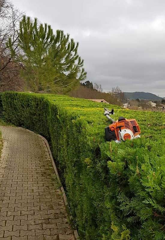 Taille d'une haie