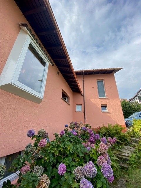 maler fensterläden - malergeschäft schiavano gmbh - samstagern