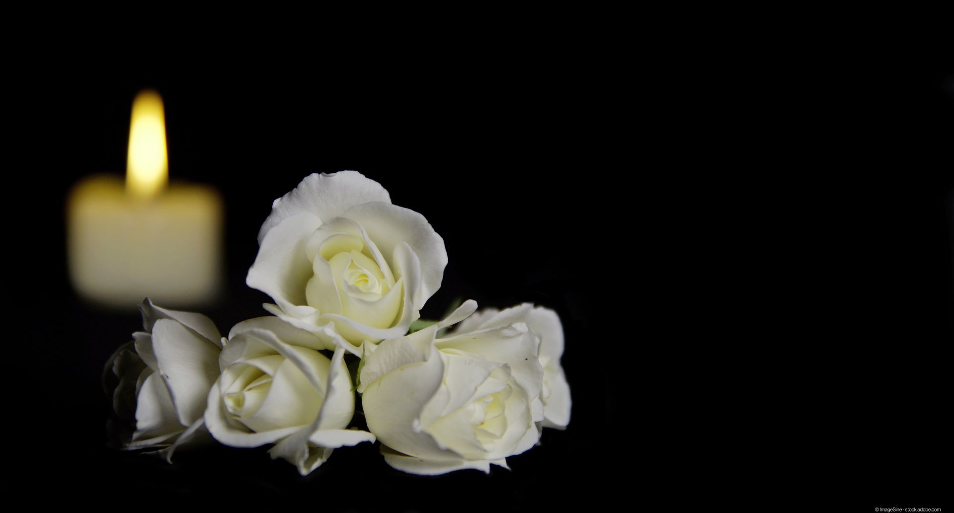 Frau steht mit einer Blume an einem Sarg