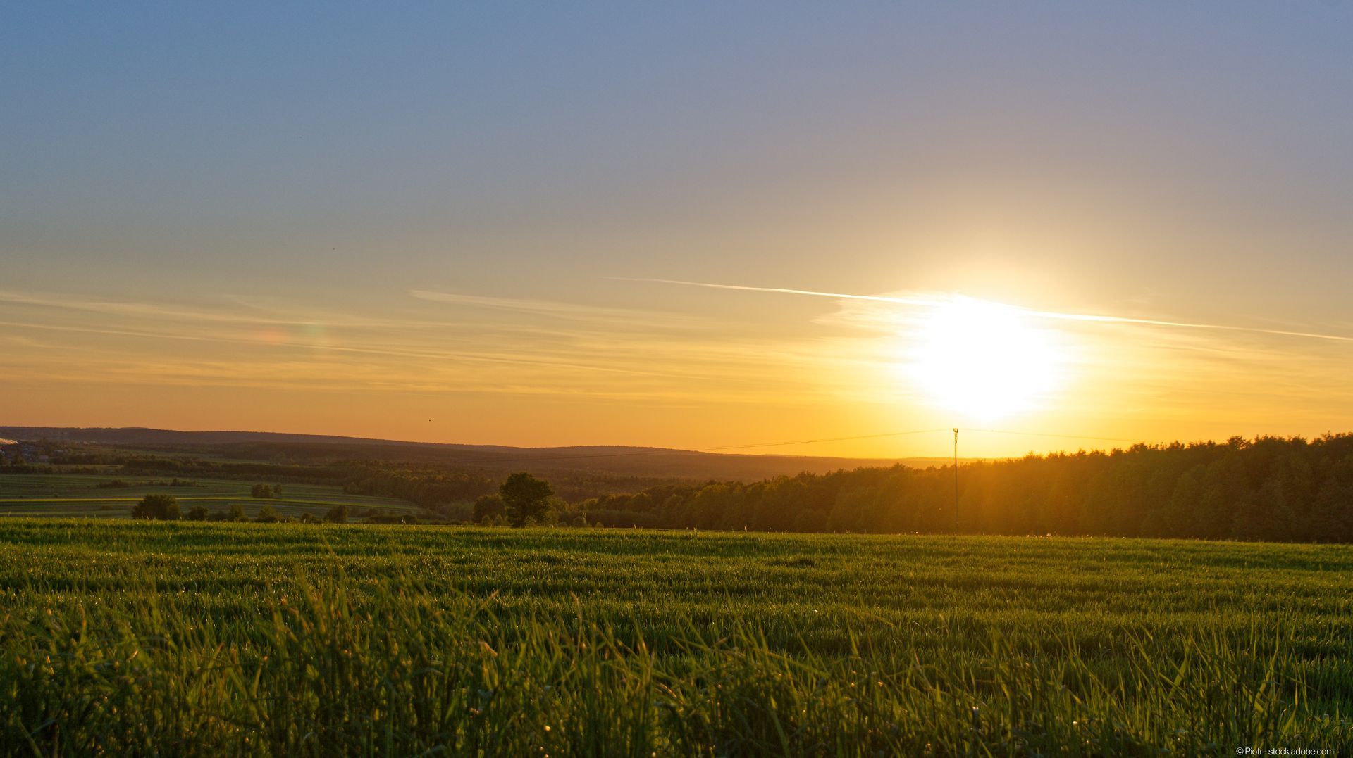 Feld mit Sonnenuntergang