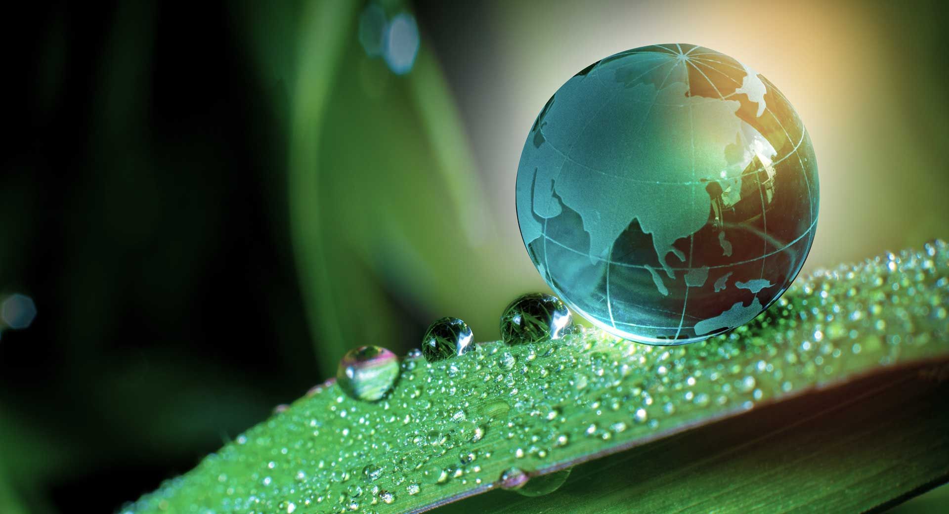 Représentation d'un globe terrestre miniature sur une plante parsemée de gouttes d'eau