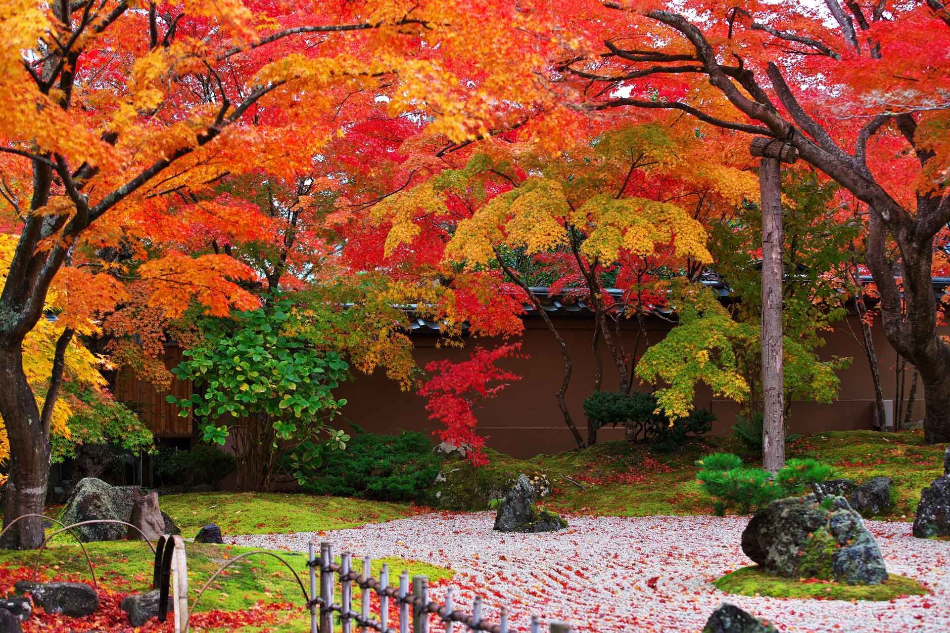 Un jardin typique japonais