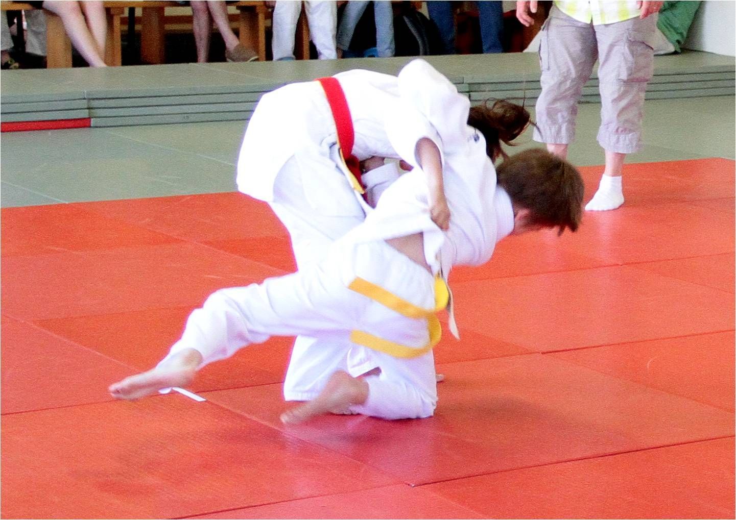 Tournoi Sion 2014 - Judo-Club Sion