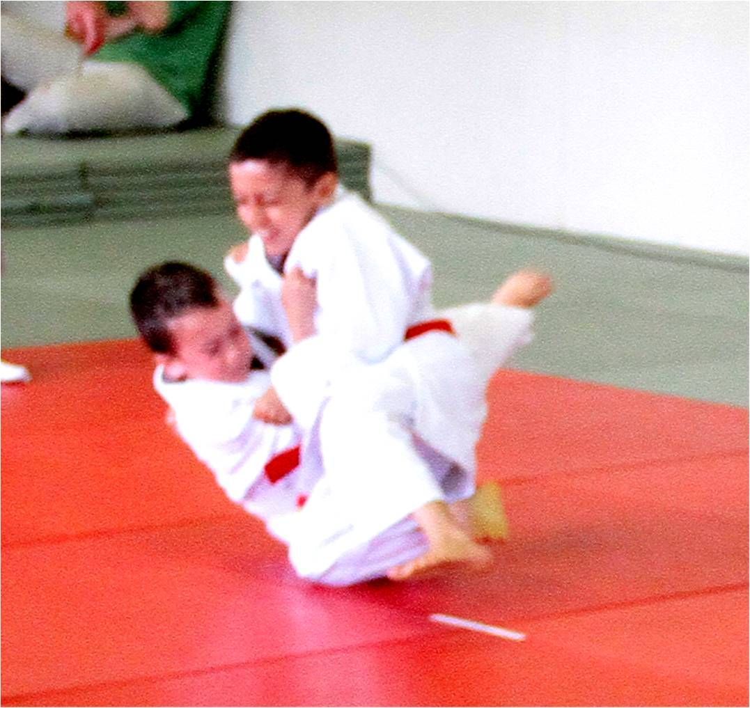 Tournoi Sion 2014 - Judo-Club Sion