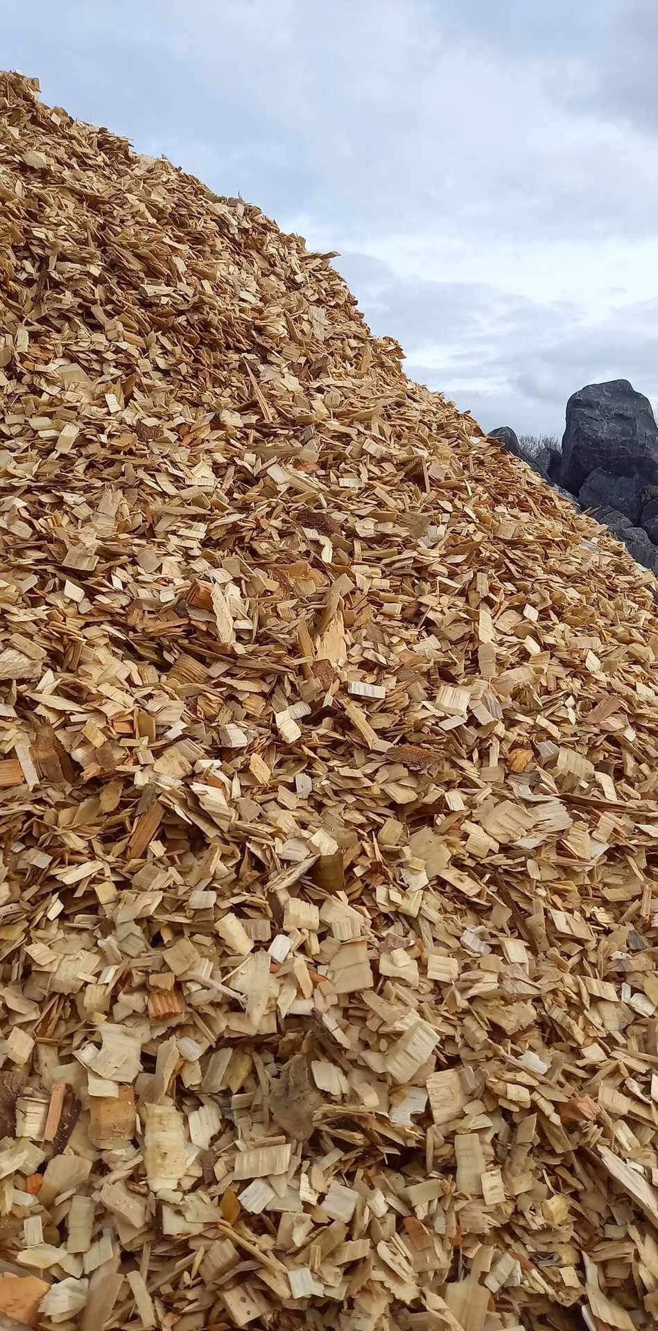 Pile de copeaux de bois