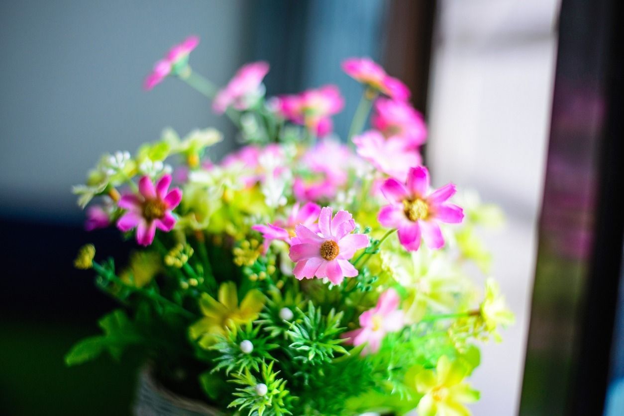 Flores rosas y amarillas en una maceta, con follaje verde. Están en el interior, junto a una ventana.