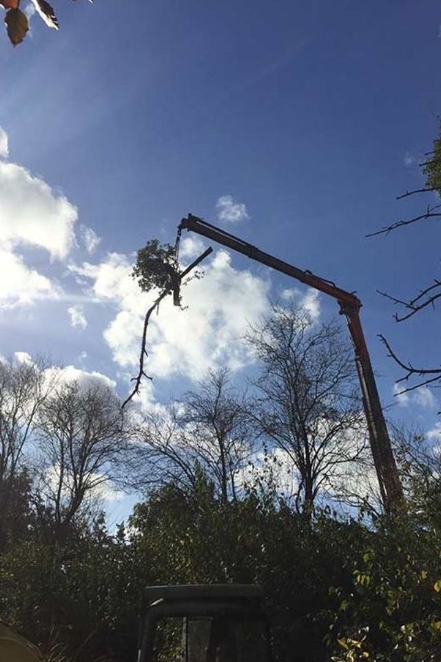 Erdbewegungsarbeiten der Riedel Rückbau GmbH