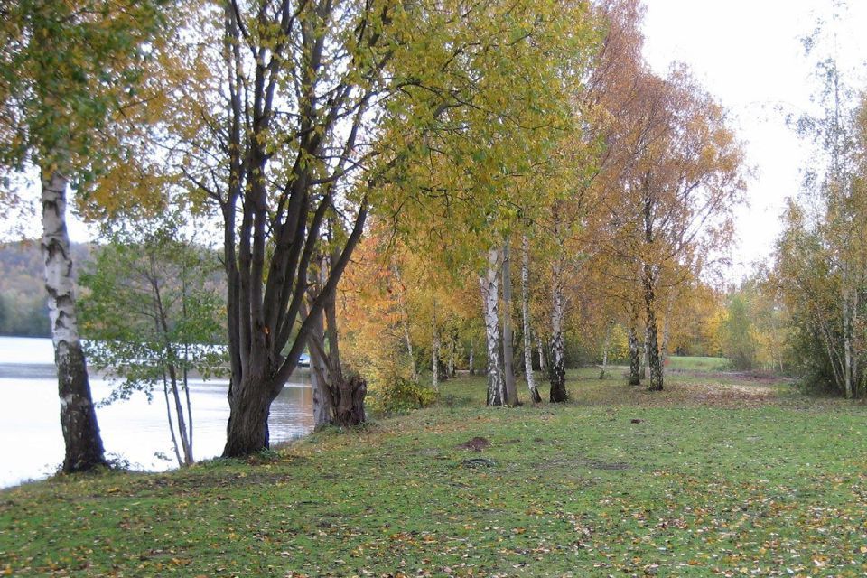 See und Bäume bei Riedel Freizeit