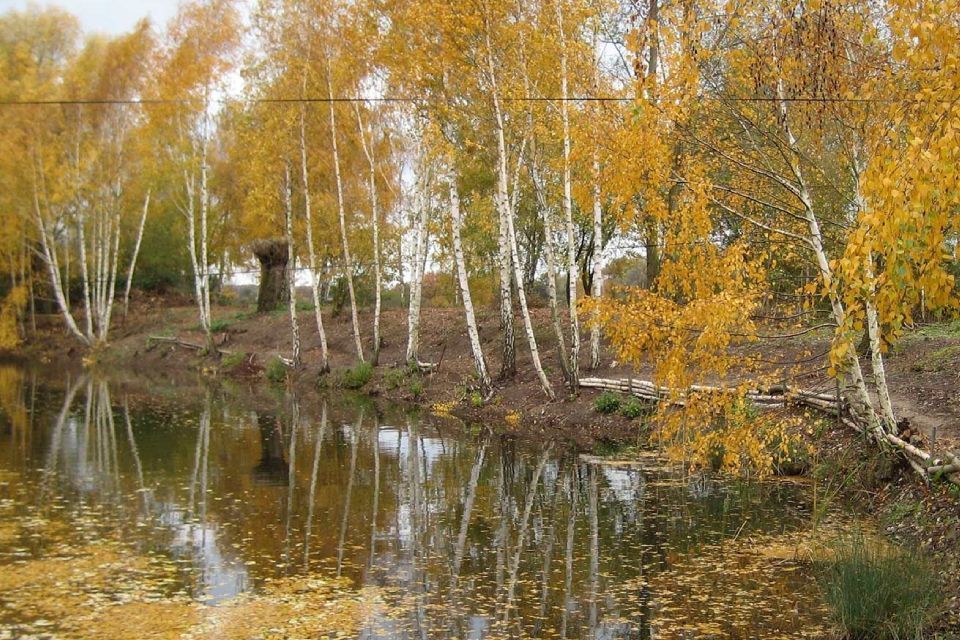See und Bäume bei Riedel Freizeit