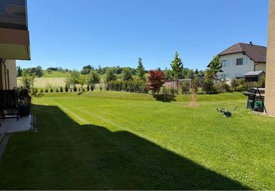 Sonniger Hinterhof mit grünem Rasen, einer schattigen Terrasse auf der linken Seite, einem Baum und einem weissen Haus in der Ferne