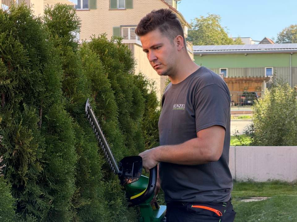 Mann schneidet mit einer elektrischen Heckenschere eine Hecke im Garten.