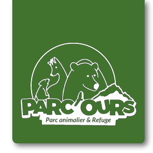 Logo vert pour le parc animalier et refuge Parc'Ours avec des icônes stylisées d'ours et de phoque
