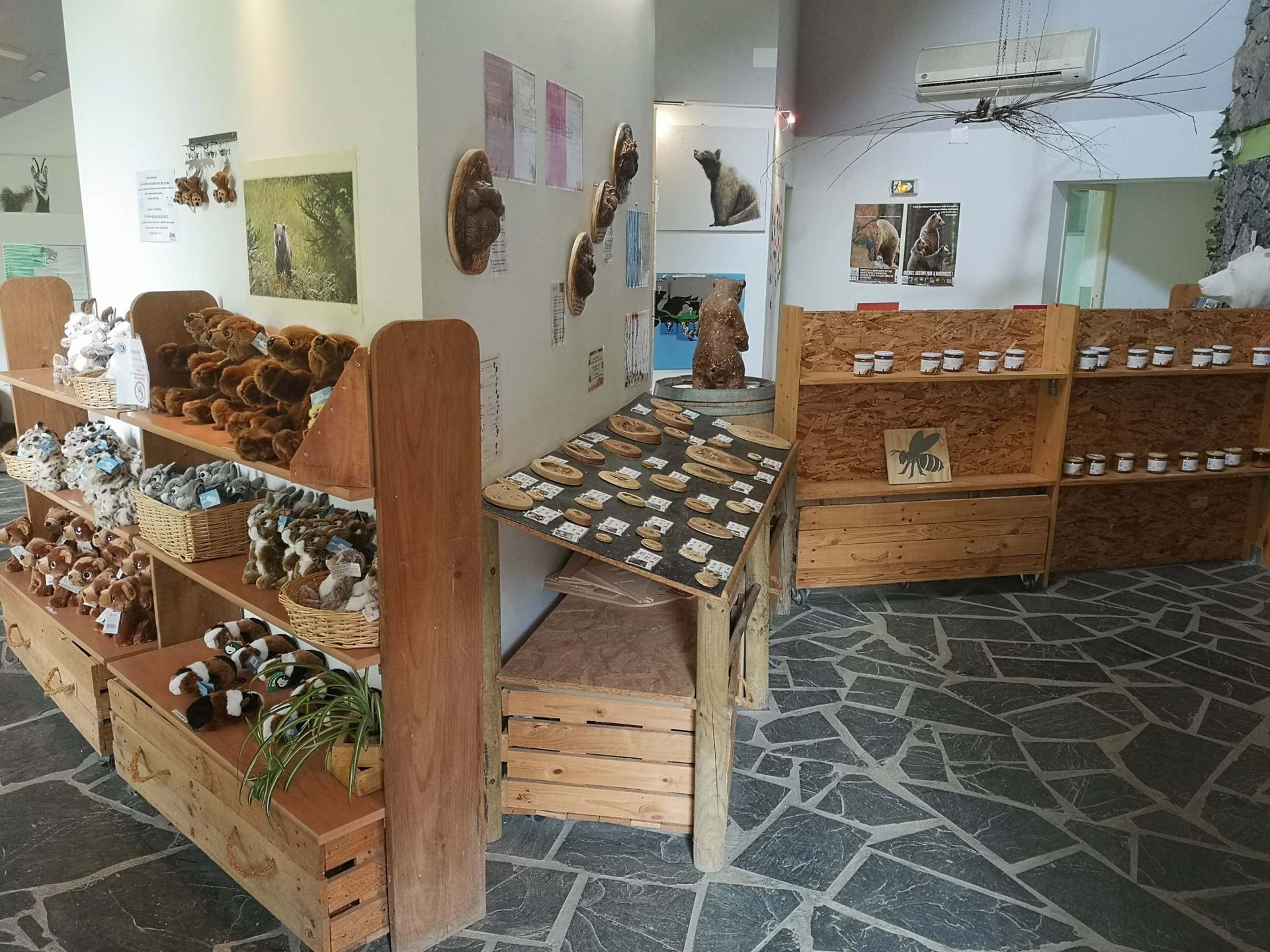 Vitrine intérieure avec étagères en bois présentant de petites plantes en pot et des articles d'artisanat sur un sol carrelé