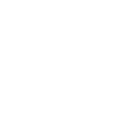 Icon Auszeichnung