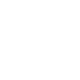 Icon Person mit Computer mit Diagramm