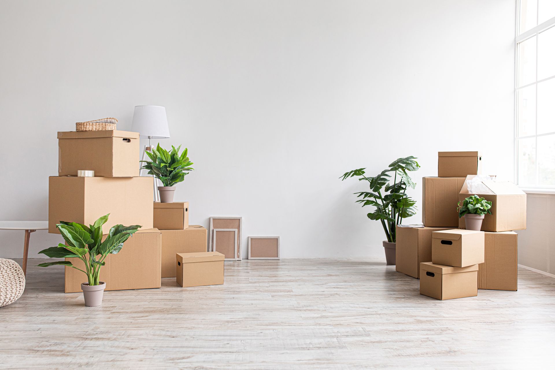 Pièce lumineuse avec des cartons de déménagement, des plantes en pot et une chaise, évoquant un déménagement ou un déballage.