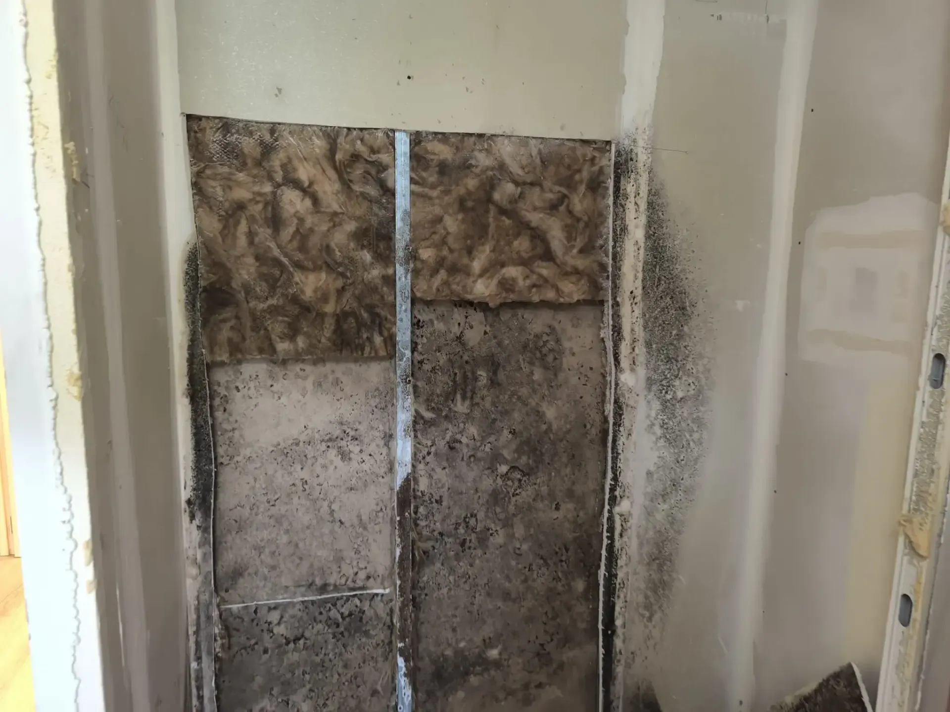 Abertura en un panel de yeso con moho y dañada en una pared interior sin terminar, con aislamiento y escombros expuestos.