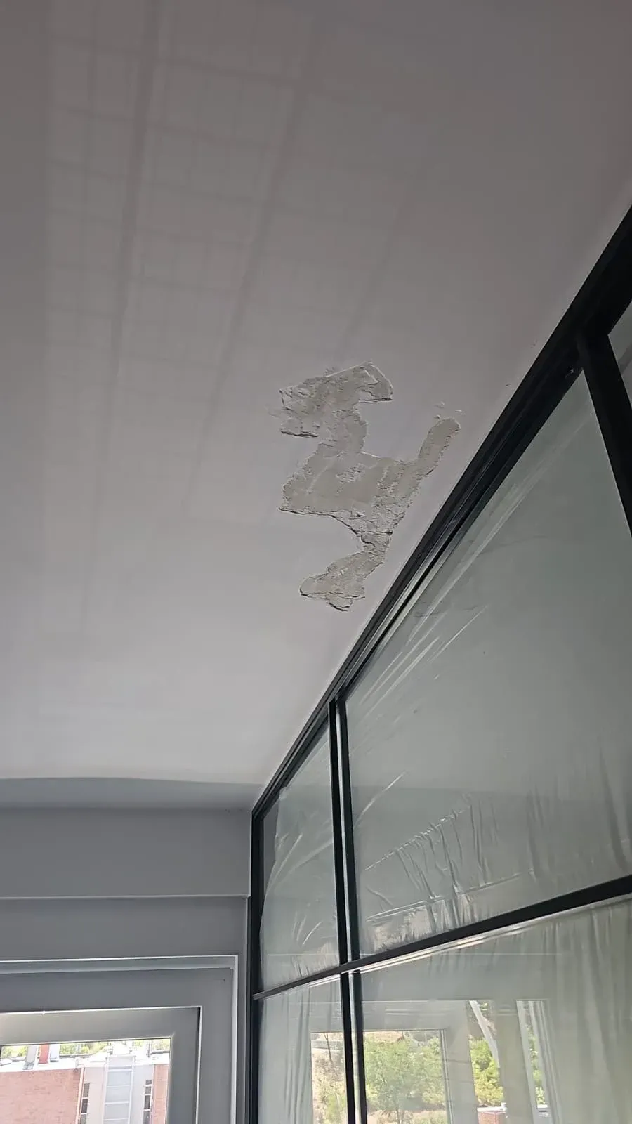 Techo con pintura descascarada sobre una mampara de cristal y una puerta interior.
