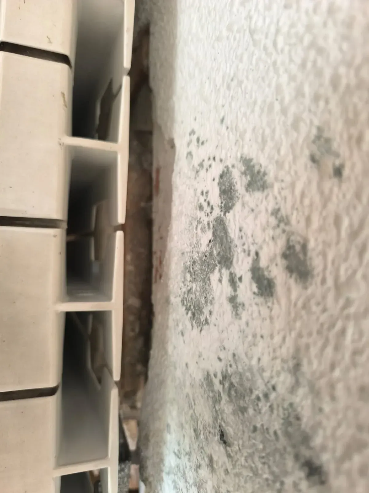 Primer plano de una pared blanca sucia junto a estanterías beige con manchas oscuras y suciedad dispersa.