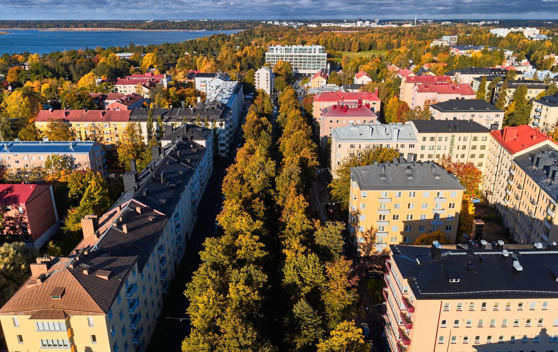 Ilmakuva puiden reunustamasta asuinkadusta, jossa on värikkäitä rakennuksia ja kaukaisuudessa joki