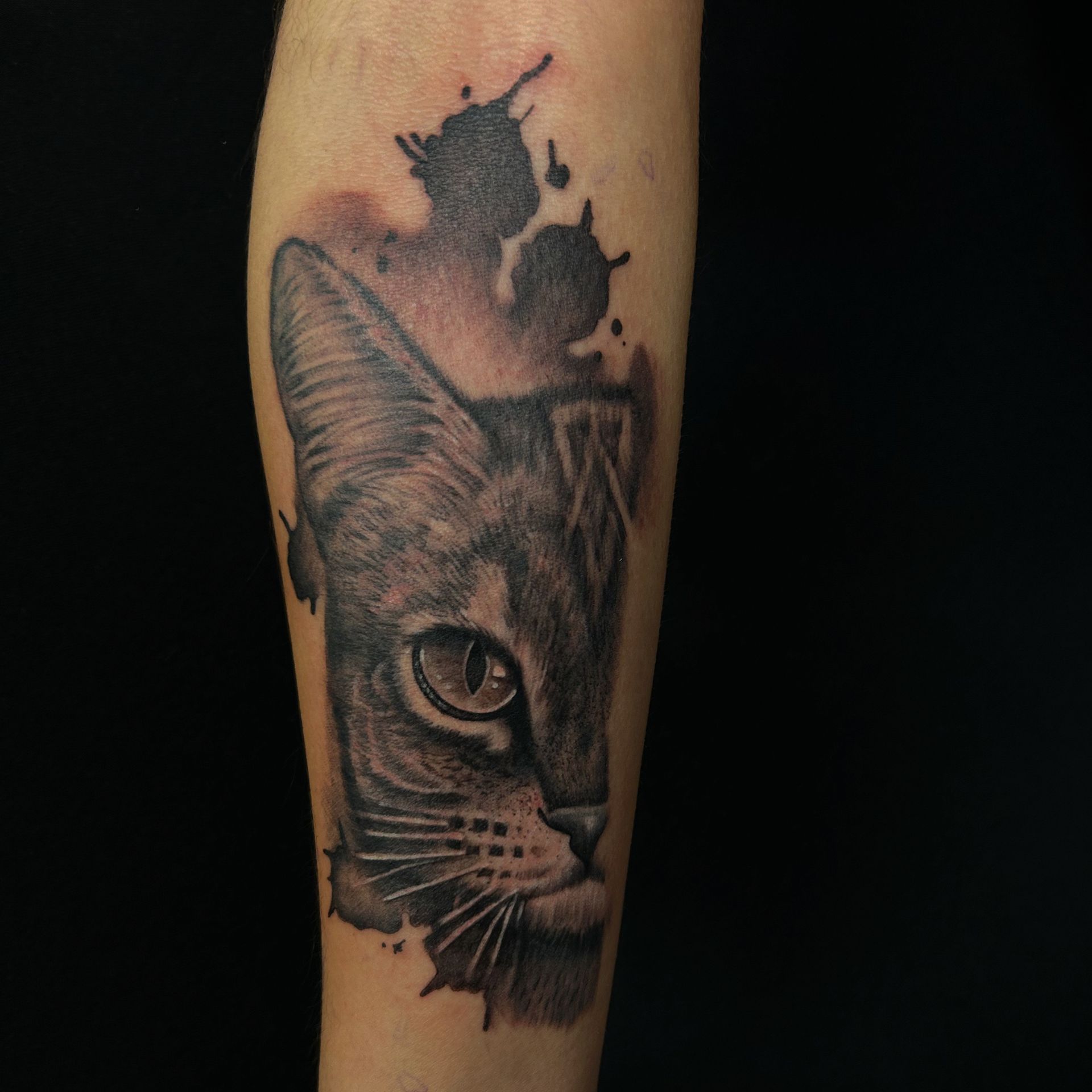 Tatuaje negro y gris de la cara de un gato en el brazo de una persona, con salpicaduras de tinta encima.