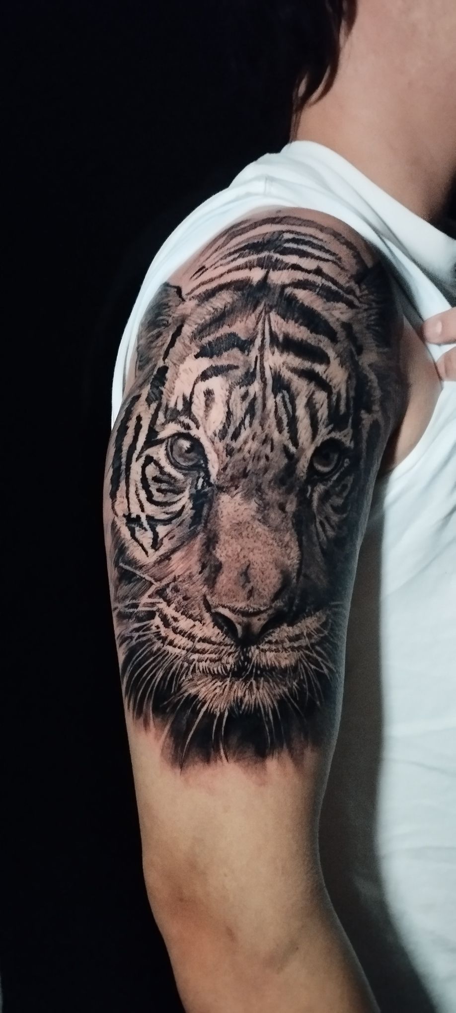 El brazo de una persona con un tatuaje detallado de cara de tigre negro y gris.