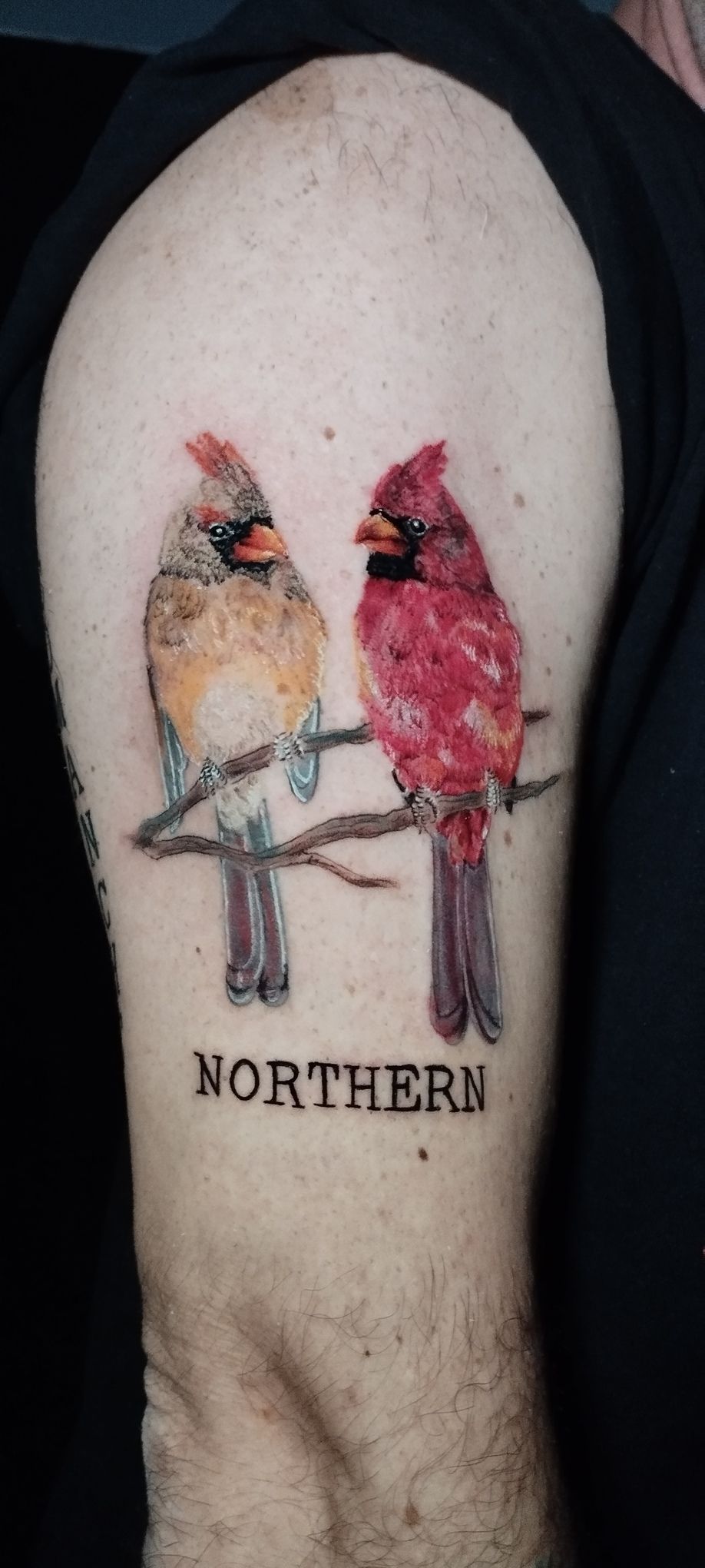 Tatuaje de dos cardenales posados ​​en una rama con la palabra 