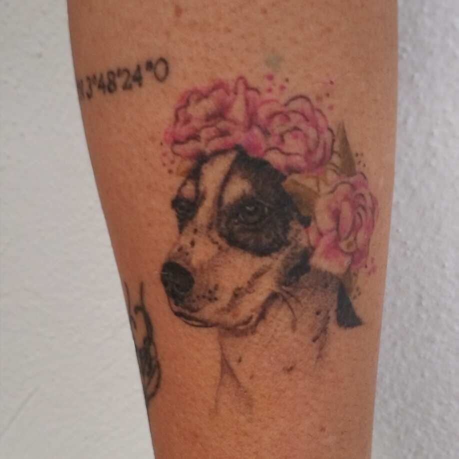 Tatuaje de perro con corona de flores rosas en el brazo. Coordenadas arriba.