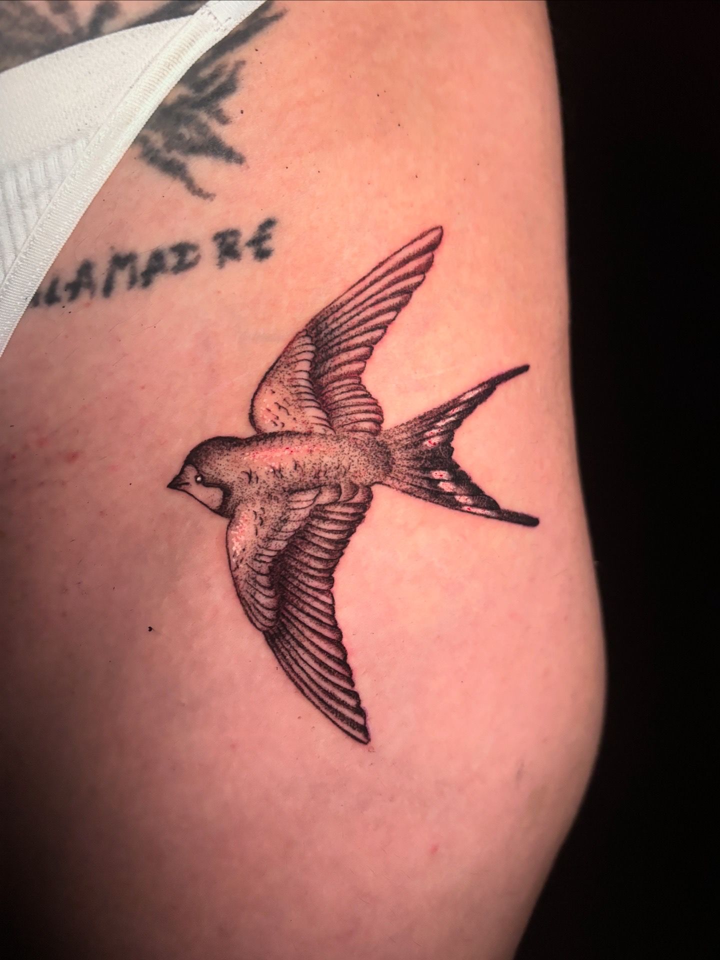 Tatuaje de un pájaro en vuelo, con alas y cola detalladas, en la piel de una persona.