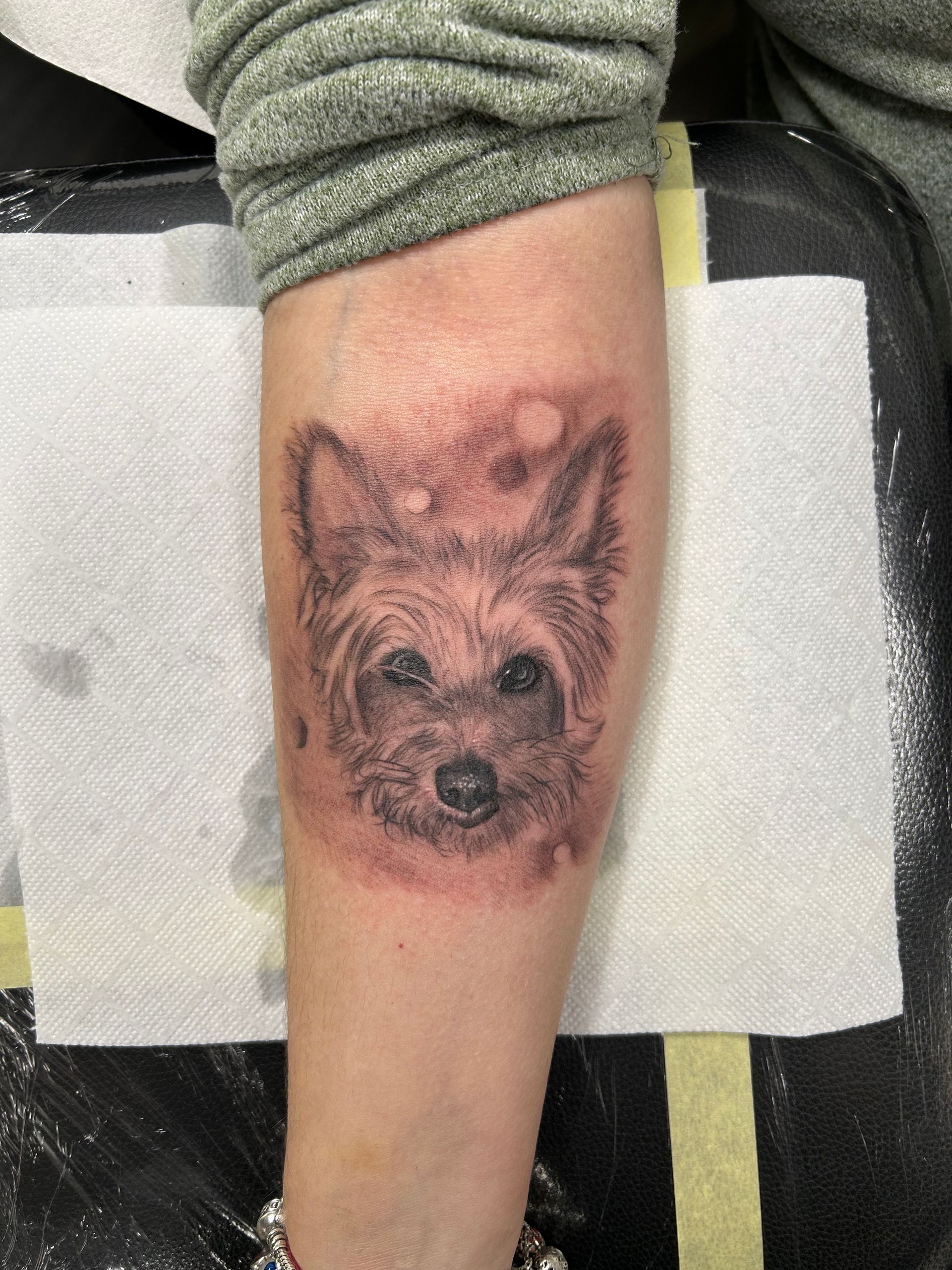Tatuaje de la cara de un perro en el brazo. Sombreado negro y gris, rodeado de tinta rojiza.