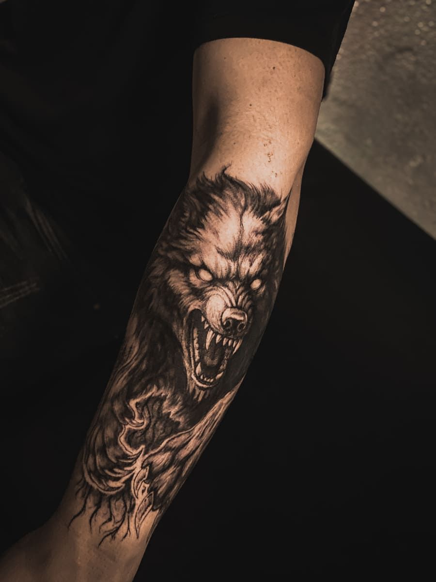 Tatuaje de un lobo gruñendo en un antebrazo, con ojos brillantes y pelaje detallado; fondo oscuro.