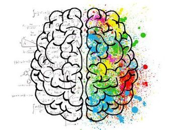 Dessin d'un cerveau