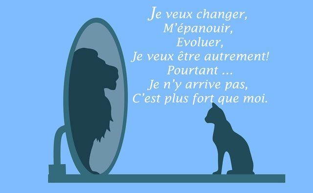 chat assis devant un miroir et voit un lion 