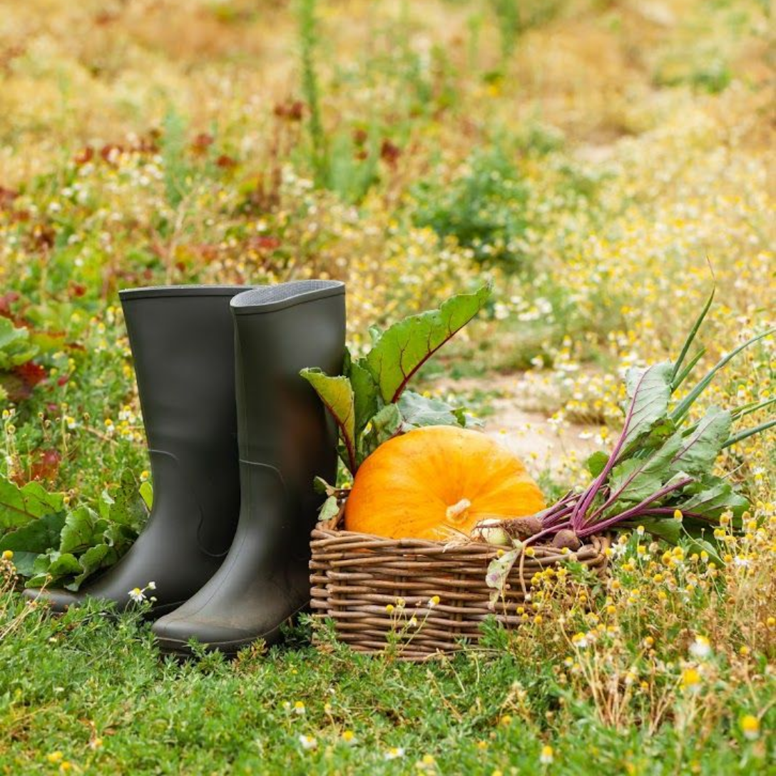 Paire de bottes et citrouille posées dans un champ