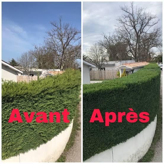 Avant et après d’une haie taillée, vue d’un jardin avec ciel nuageux.